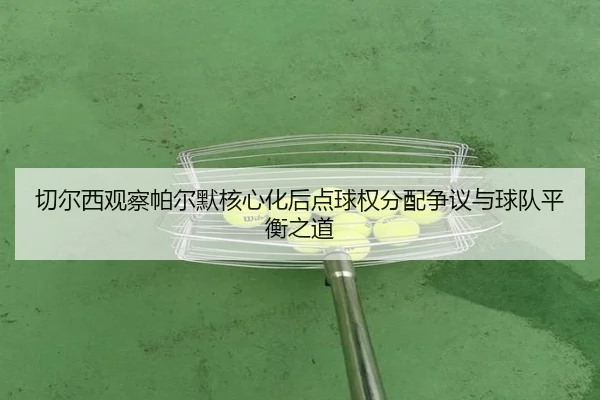 切尔西观察帕尔默核心化后点球权分配争议与球队平衡之道